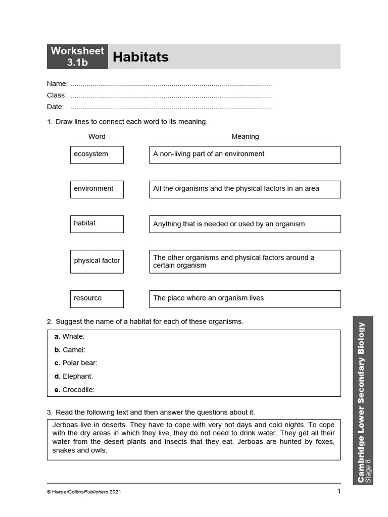 Stage 8 - Worksheets - Chapter 3 | PDF | Predation | Foods