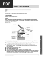 Stage 8 - Worksheets - Chapter 1