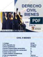 Civil Bienes 2023