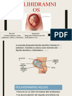 Poli Hi DR Amnio