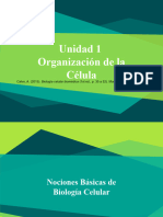 Unidad 1 - Organización de La Célula