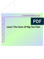 Learn The Facts of Big Toe Pain