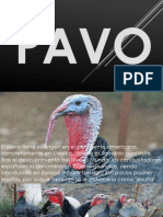 pavo-150407184046-conversion-gate01