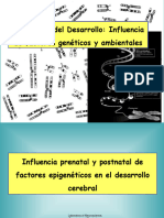 Bloque 2. Temas 4 y 5. Factores Ambientales y Genéticos