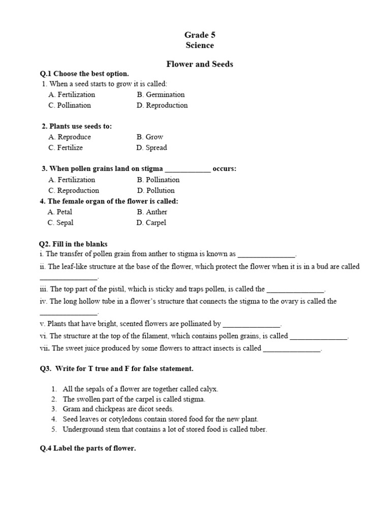 Grade 5 Homework | PDF | Flowers | Atmosphere Of Earth