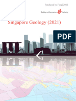 4. Singapore practitioners guide