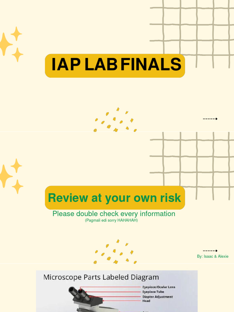 Iap Finals Models With Label | PDF | Vertebra | Uterus