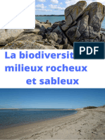Diaporama Biodiversité Sur Milieux Rocheux Et Sableux