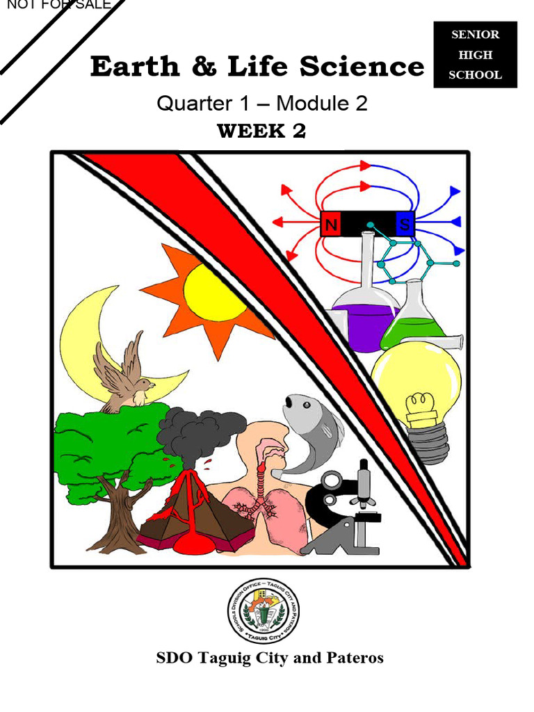 Earth Materials: Rocks & Minerals Module | PDF | Rock (Geology) | Minerals