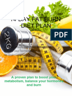 14-DAY - FAT - BURN - DIET - PLAN - Cool Pictures Design