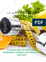 14-DAY_FAT_BURN_DIET_PLAN - Cool Pictures Design