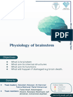 7 - Physiology of Brain Stem
