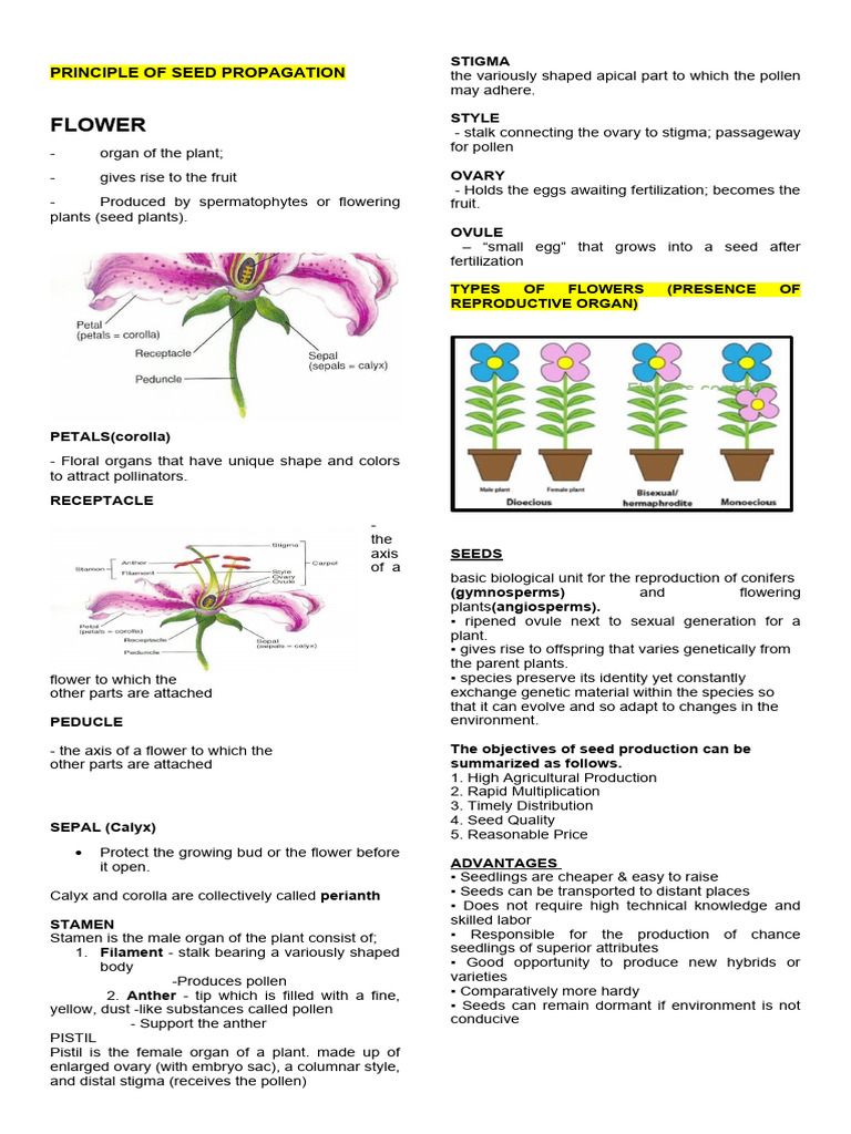 Principle of Seed Propagation | PDF | Seed | Flowers