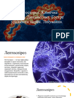 1 Лептоспіроз. Клінічна Картина. Діагностика. Гостре Ураження Нирок. Лікування