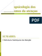 Aula No 7 Neuropsicologia Dos Mecanismos Da Atençao