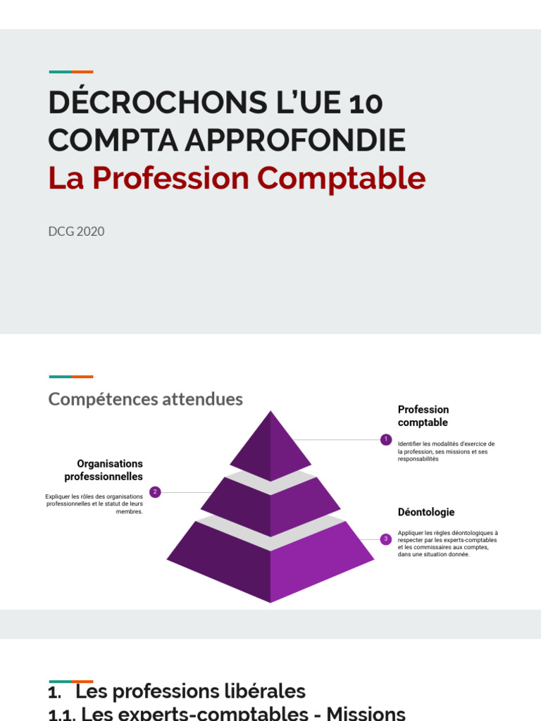 La Profession Comptable et ses Normes | PDF | Comptabilité | Business