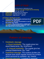 Embryology Cleavage