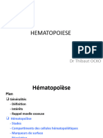 Hematopoiese 18