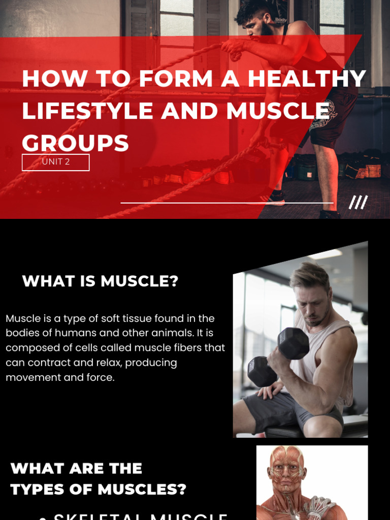 How To Form A Healthy Lifestyle and Muscle Groups | PDF | Muscle | Anatomy