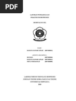 Download Laporan Tetap Morfologi by Yuliana Yang SN72354159 doc pdf