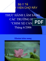 Can Lam Sang HC Chim Xe Canh (BV Cho Ray)