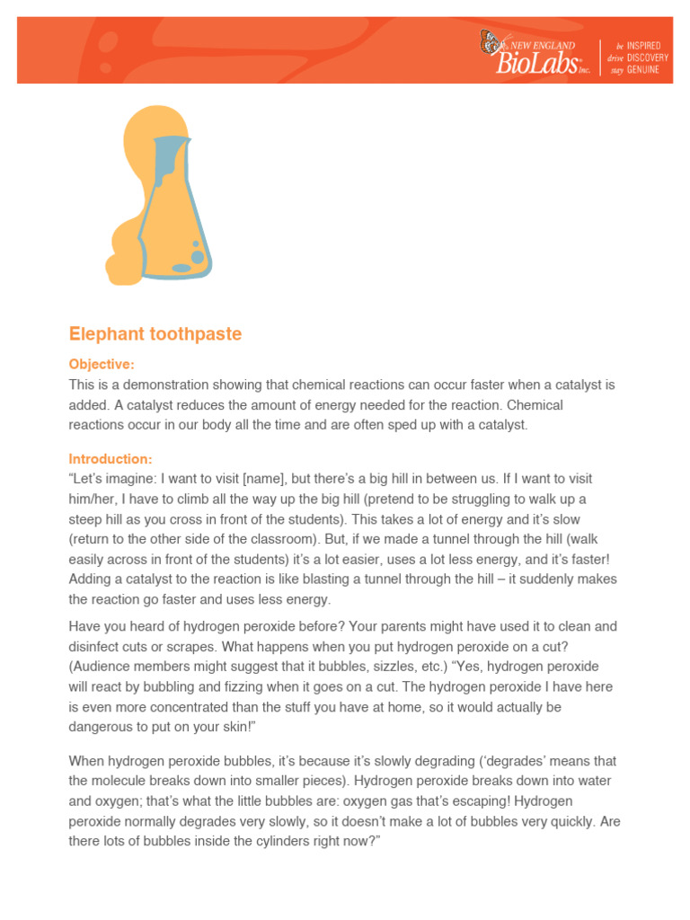 Elephant Toothpaste PDF Hydrogen Peroxide Catalysis