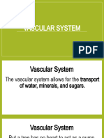 5.1 Vascular System