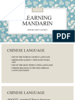 Learning Mandarin t1