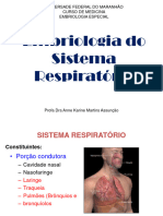 01 - Sistema Respiratório