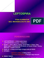 1.14. Leptospirae