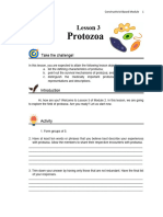 Module 2 Lesson 3 Protozoa