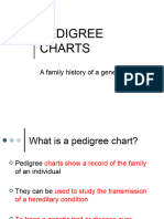 Pedigree Ppt.