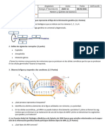 Examen Molecular