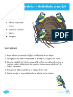 cuibul-pasarelelor-activitate-practica_ver_4