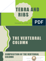 Ribs and Vertebra Bones