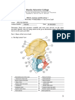 MAC AnaPhy 1 Laboratory Worksheet 8 the Lower Limb