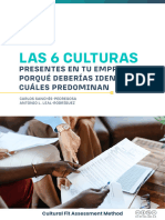 Ebook - CulturalFit