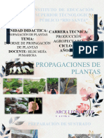 Informe Final de Propagacion de Plantas