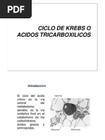 Ciclo de Krebs