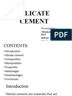 Silicate Cement 1