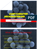 3.3-Microbiology Campylobacter Helicobacter and Vibrio PDF