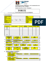 Ficha Diagnostica Toece Modelo 1