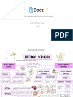 sistema-nervioso-cua-107219-downloadable-5018098