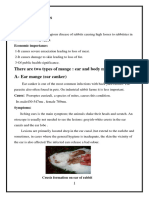 L4. Rabbit Parasitic Diseases