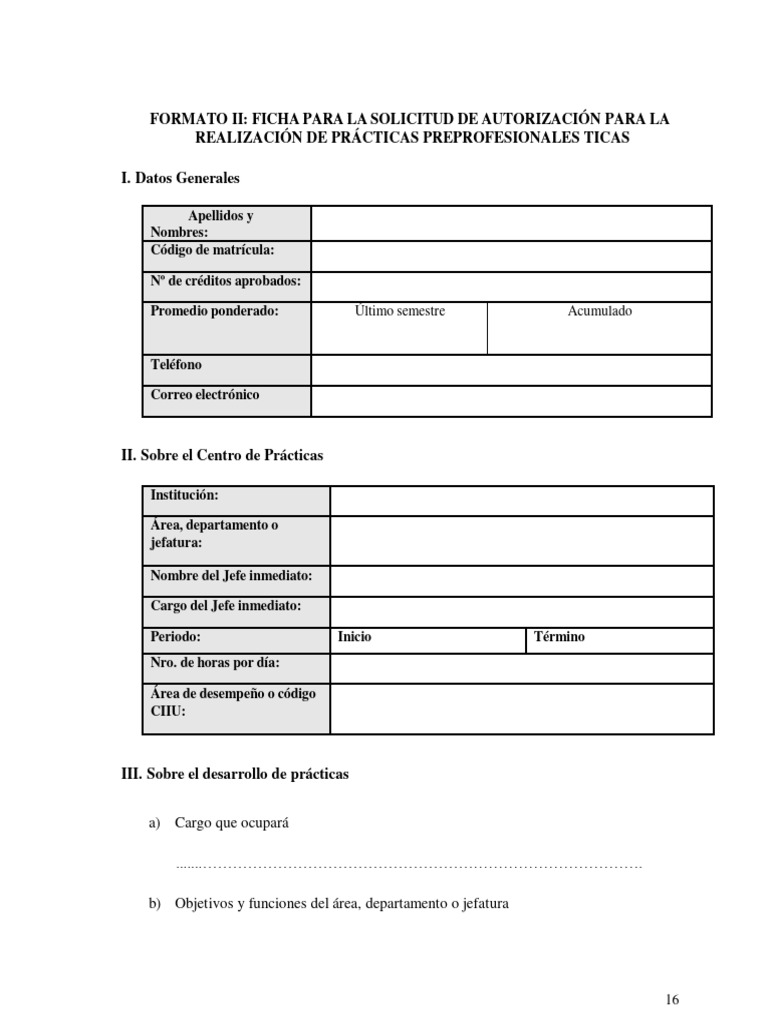 Formato 2 PPP | PDF