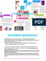 Mapa Trauma Bucal