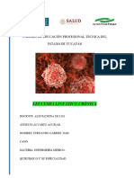 Place LEUCEMIA MIELOIDE CRÓNICA