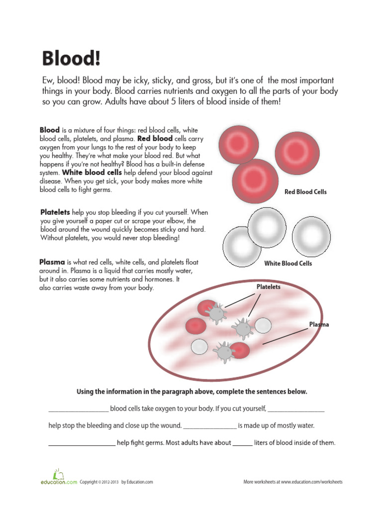 Blood | PDF | Blood | Heart