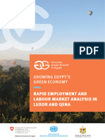 Rapid Employment and Labour Market Analysis in Luxor and Qena
