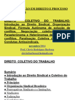 DIREITO SINDICAL PRINCÍPIOS E ORGANIZAÇÃO - Facisa 2014-1